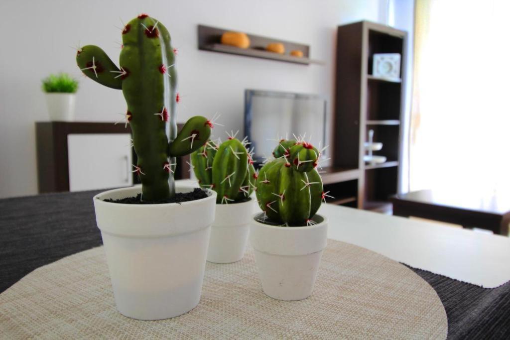 Expoholidays-Eucalipto 1º1 Apartment Aguadulce  Ngoại thất bức ảnh